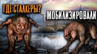 Трансляция: STALKER Clear Sky [Впервые в зоне]. #2.