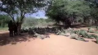 Botswana Defence Force - BDF