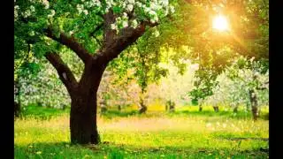 Spring In My Step - Silent Partner [1 hour]