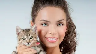 Стих "Кот идиот"