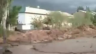 Сел