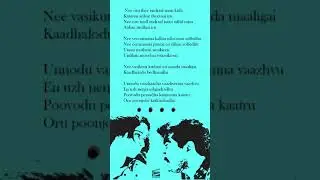 Unnodu Vazhadha | Amarkalam |Bharadwaj |Saran | KS Chithra | Clapsule | Status