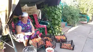 АРБУЗ спелый ли?В селе у СВЕКРУНЬКИ !👍🙋‍♀️🥗