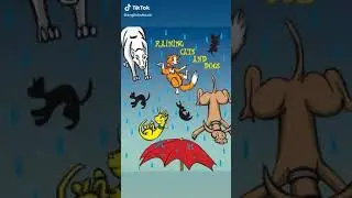 Idiom: It's raining cats and dogs