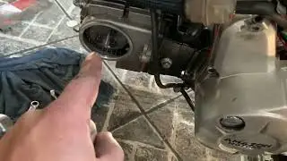 Cinquentinha tá sem força 😱