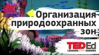 🐠 Организация природоохранных зон, на примере коралловых рифов. [ ted ed на русском ]