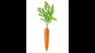 Carrot
