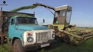 As in Soviet times, harvested silage. Like 30 years ago.