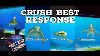 CRUSH BEST RESPONSE | Turtle talk with crush 😃