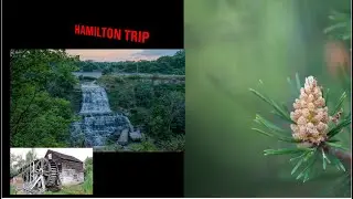 Trip to Hamilton