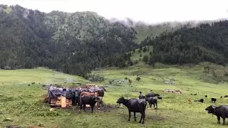 Poor But Most Relaxing And Beautiful Mountain Villages Shepherd LifeOf Nepal|| Mountain Village Life