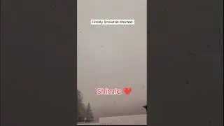 Finally Snowfall In Shimla ❄️🌨️❤️