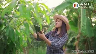 IoT  The Green Thumb of Forestry