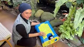 Alat semprot ala mbok kebon