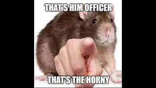 free rule 34