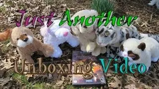Just Another Unboxing Video