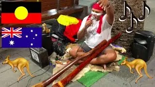 🐨 Didgeridoo Mix Up | Australian Culture |