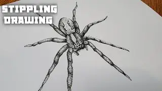 Stippling Drawing #84 - How to Draw a Spider Using Dots | Pen Drawing | Stippling Art