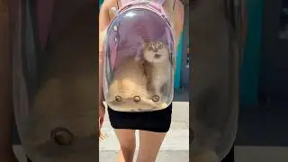 My cat run away from me🥹 