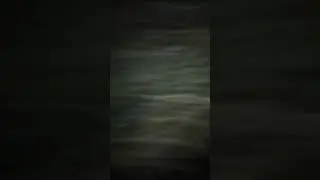 Crazy old man blocking state city fence with tons of brush