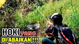 Pemancing menemukan misteri rawa persembunyian ikan penuh hoki
