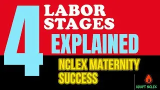 NCLEX Stages of Labor Explained | NCLEX Maternity Nursing Review + Questions
