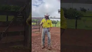 Cowboy
