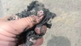 На озере Горькое - черная грязь.