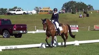 Blyth's Madeline GS Ocala CCI 1*