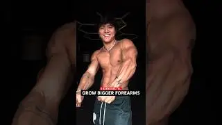 5 exercises to grow bigger forearms // pick your top 3