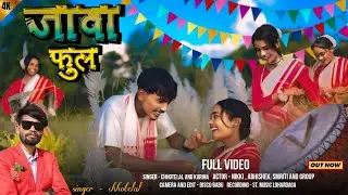 #जवा फूल #karma video #SingerChhotelal & Karina kumari #newkarmavideojawaful2024