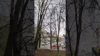 Первый гром и гроза .....дождь и ледяной холод.....