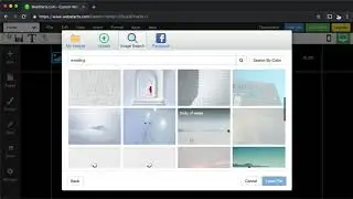 Free Stock Images From WebStarts
