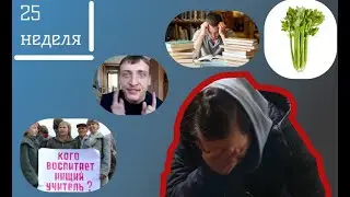 Работа в IT. 25 неделя. Репетитор за 400р. Факап с кибербесами. Зачем Celery?