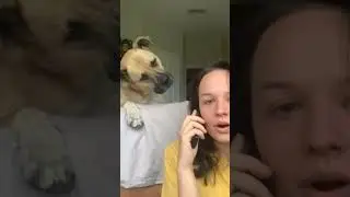 Анекдот про жену