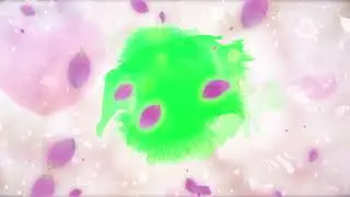 new green screen wedding photo slideshow | green screen wedding opener photo slideshow