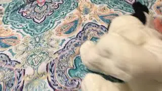 #FlipTheDogChallengeIsRigged