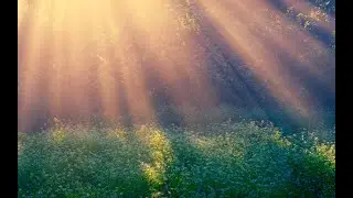 Дело было утром!