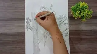 Cute Parrot Couple Drawing | Easy Love Birds Sketch | Step-by-Step Drawing Tutorial