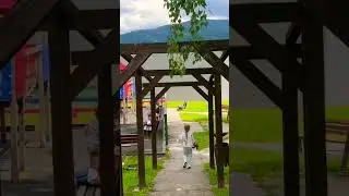 Этот вид