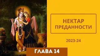 12 Главы 14 (Нектар Преданности) 2023-24