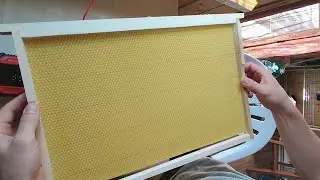 Как я наващиваю рамки #пасека #пасека #пчеловодство #мед #пчёлы #bienenhaus #пчеловодство_по_ютубу