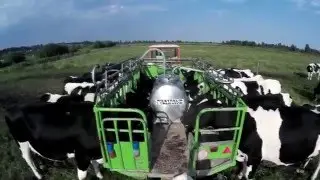 Codzienne Obowiązki w GR GREENTEAM