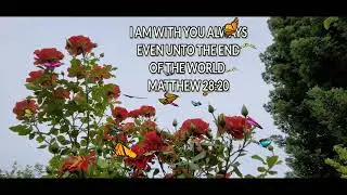 JESUS LIVES SEEING HIS LOVE IN YOUR LIFE...
