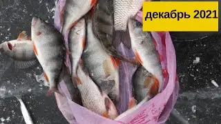 Зимняя рыбалка на мормышку.fishing