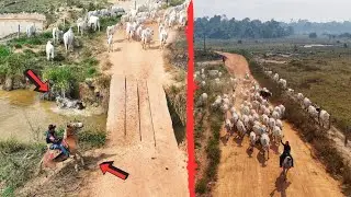 DEPOIS DE ALGUMAS PERRENGUES FINALMENTE CHEGAMOS NO NOSSO DESTINO #estradão
