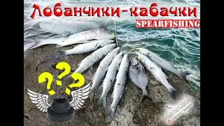 100% Охота на ЛОБАНА 2020. МАНЖЕТА ПОДВЕЛА !!! маруся в работе