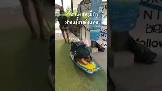 เล่น Wake Board ครั้งแรก เพิ่มความสดใหม่ให้กับชีวิต ถ้าไปเล่นรอบหน้าจะต้องหัดยืนแล้ว PTStation หนีเ