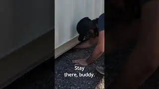 Our adorable pup got stuck and needed rescue! 