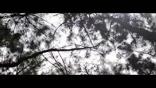 Terbaru-Nissa sabyan- ya maulana